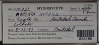 Image Associated With the Occurence